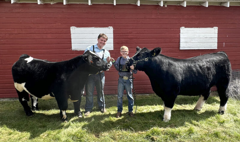 Nine-year-old wins grand champion steer with 'Moose'